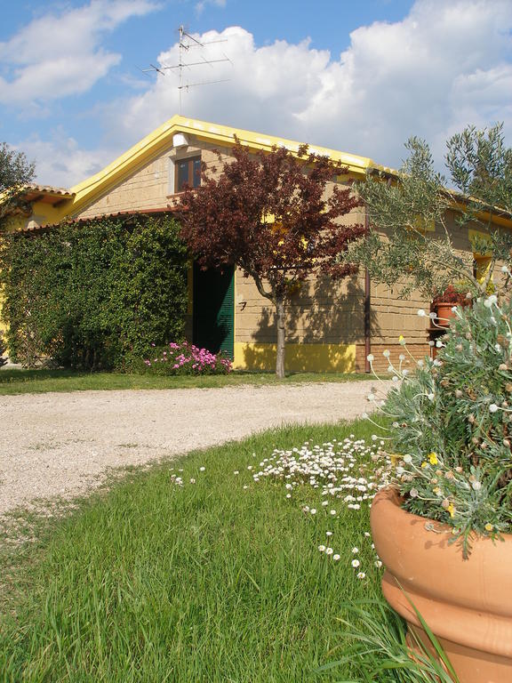 Agriturismo Albarosa-Terre Dell'Amore Marina di Grosseto Szoba fotó